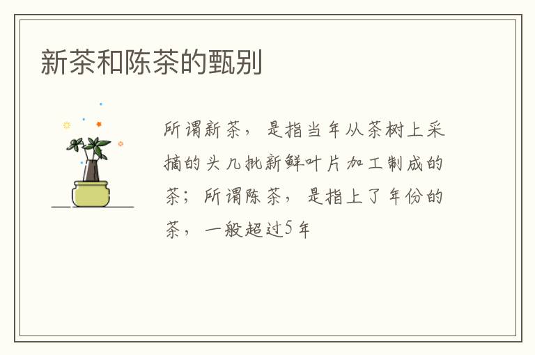 新茶和陈茶的甄别