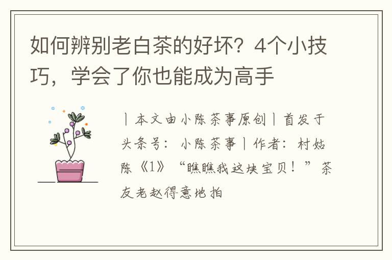 如何辨别老白茶的好坏？4个小技巧，学会了你也能成为高手