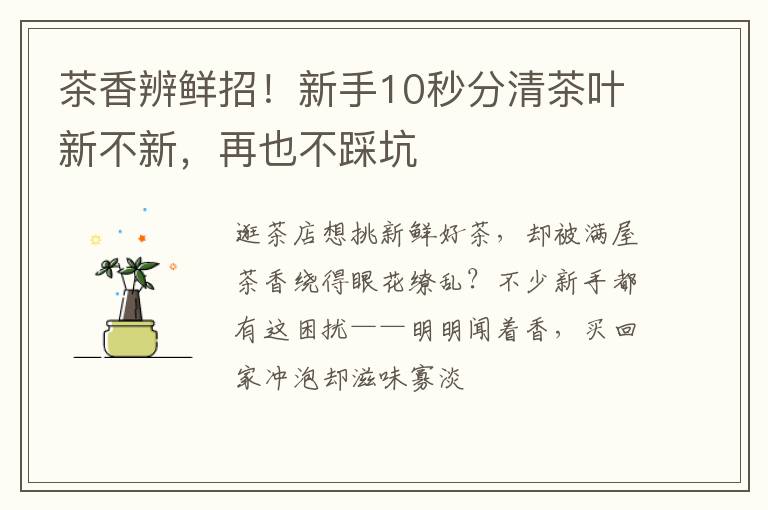 茶香辨鲜招！新手10秒分清茶叶新不新，再也不踩坑