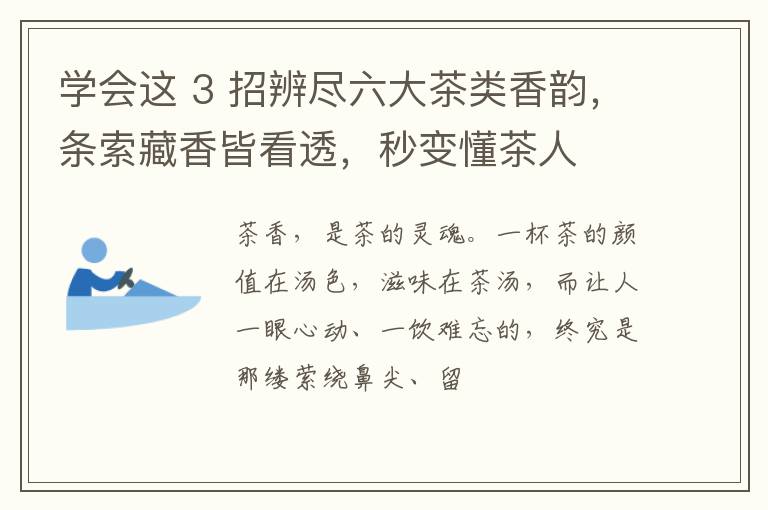 学会这 3 招辨尽六大茶类香韵，条索藏香皆看透，秒变懂茶人
