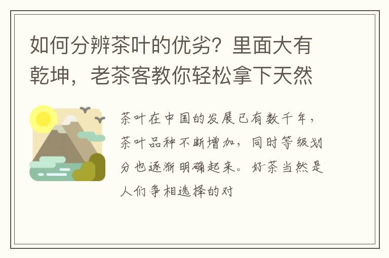 如何分辨茶叶的优劣？里面大有乾坤，老茶客教你轻松拿下天然好茶