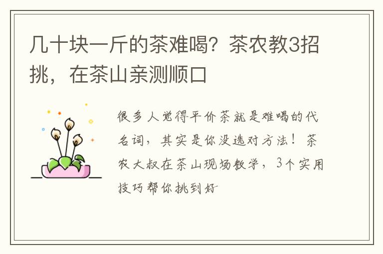 几十块一斤的茶难喝?茶农教3招挑,在茶山亲测顺口