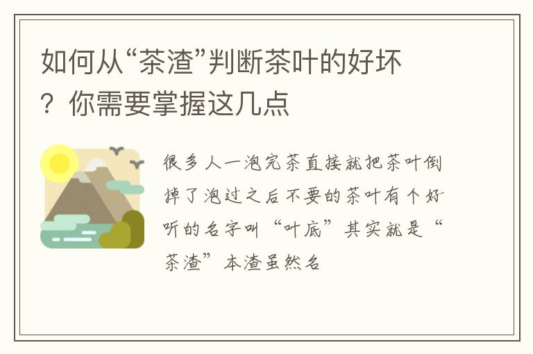 如何从“茶渣”判断茶叶的好坏?你需要掌握这几点