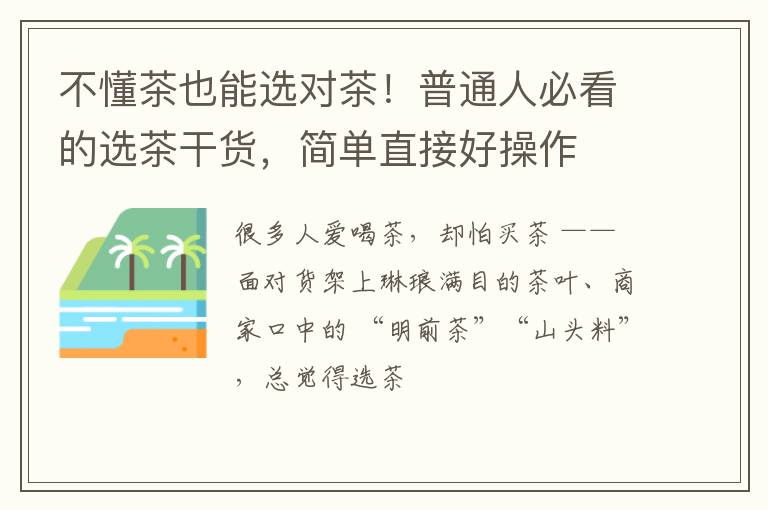 不懂茶也能选对茶！普通人必看的选茶干货，简单直接好操作