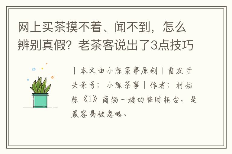 网上买茶摸不着、闻不到，怎么辨别真假？老茶客说出了3点技巧