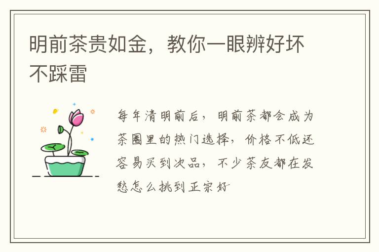 明前茶贵如金，教你一眼辨好坏不踩雷