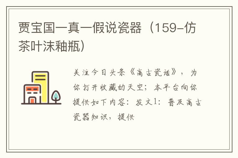 贾宝国一真一假说瓷器（159-仿茶叶沫釉瓶）