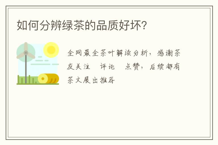 如何分辨绿茶的品质好坏?