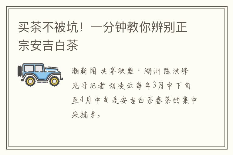 买茶不被坑!一分钟教你辨别正宗安吉白茶