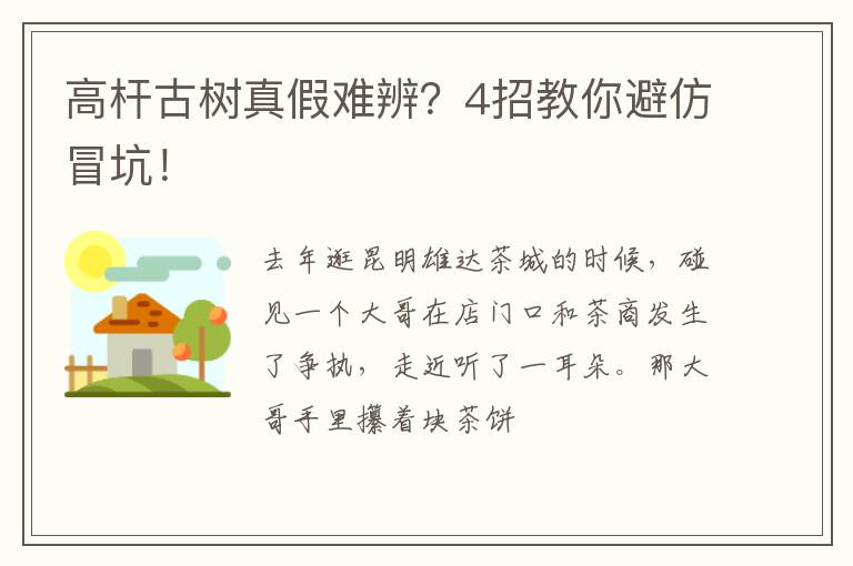 高杆古树真假难辨？4招教你避仿冒坑！