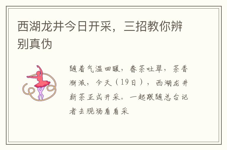 西湖龙井今日开采，三招教你辨别真伪