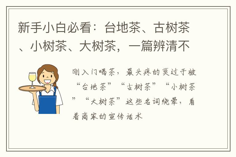 新手小白必看：台地茶、古树茶、小树茶、大树茶，一篇辨清不踩坑