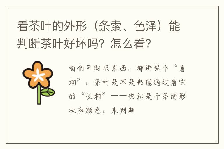 看茶叶的外形(条索、色泽)能判断茶叶好坏吗?怎么看?