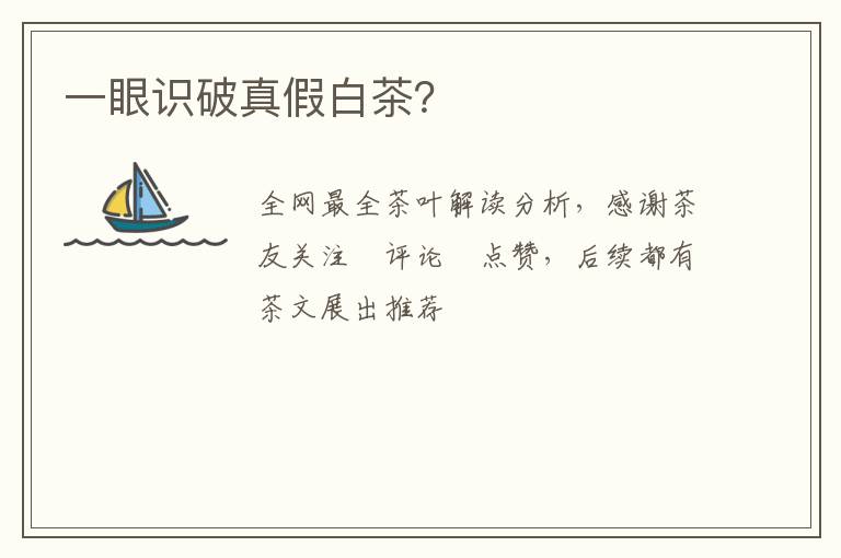 一眼识破真假白茶？