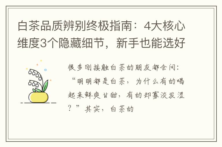 白茶品质辨别终极指南:4大核心维度3个隐藏细节,新手也能选好茶