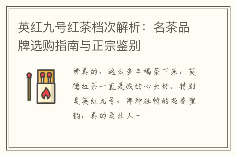 英红九号红茶档次解析：名茶品牌选购指南与正宗鉴别