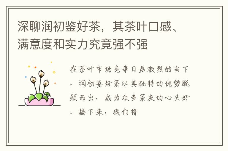 深聊润初鉴好茶，其茶叶口感、满意度和实力究竟强不强