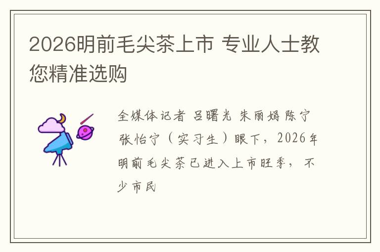 2026明前毛尖茶上市 专业人士教您精准选购