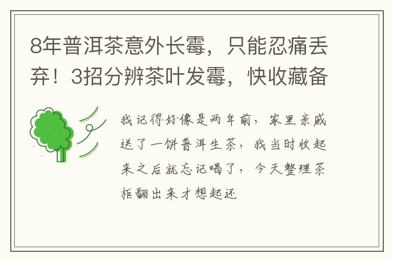 8年普洱茶意外长霉,只能忍痛丢弃!3招分辨茶叶发霉,快收藏备用