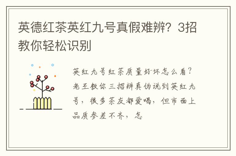 英德红茶英红九号真假难辨？3招教你轻松识别