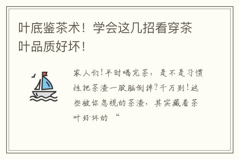 叶底鉴茶术!学会这几招看穿茶叶品质好坏!