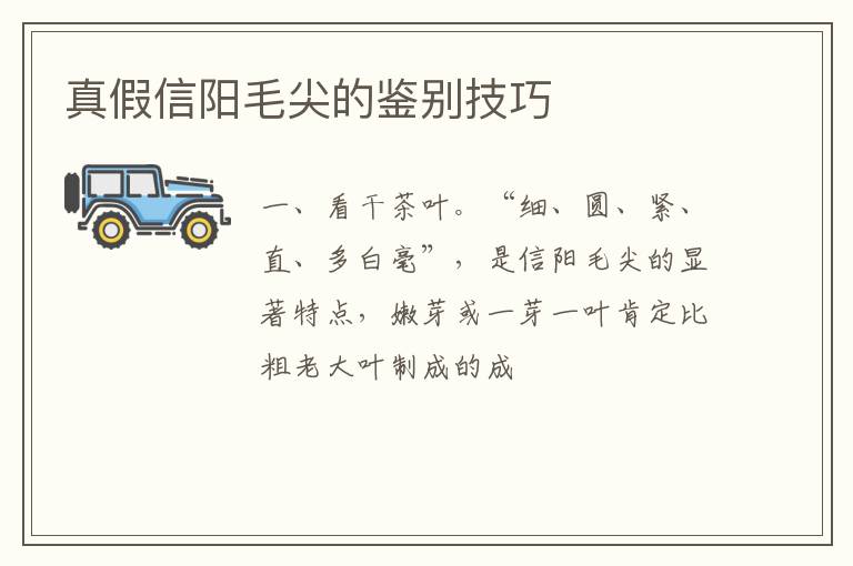 真假信阳毛尖的鉴别技巧