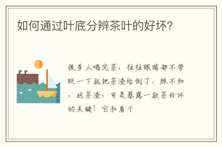 如何通过叶底分辨茶叶的好坏?