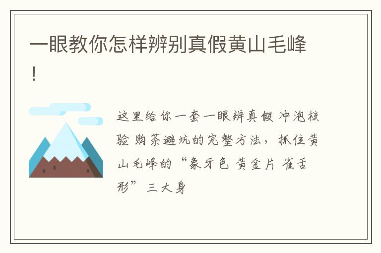 一眼教你怎样辨别真假黄山毛峰！