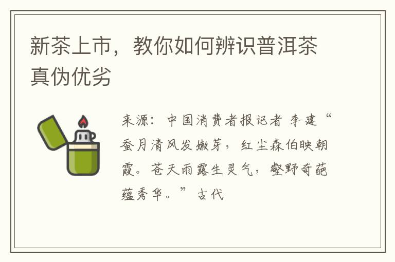 新茶上市,教你如何辨识普洱茶真伪优劣
