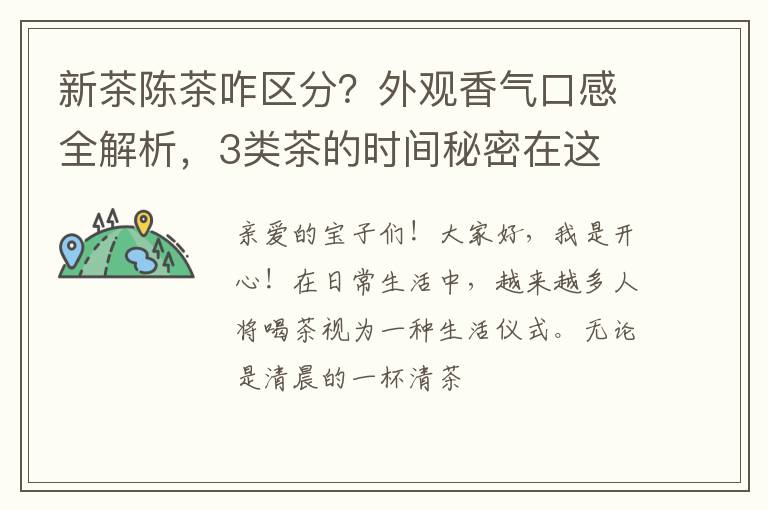 新茶陈茶咋区分?外观香气口感全解析,3类茶的时间秘密在这