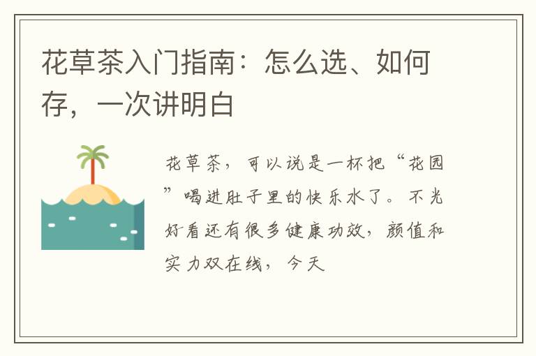 花草茶入门指南:怎么选、如何存,一次讲明白