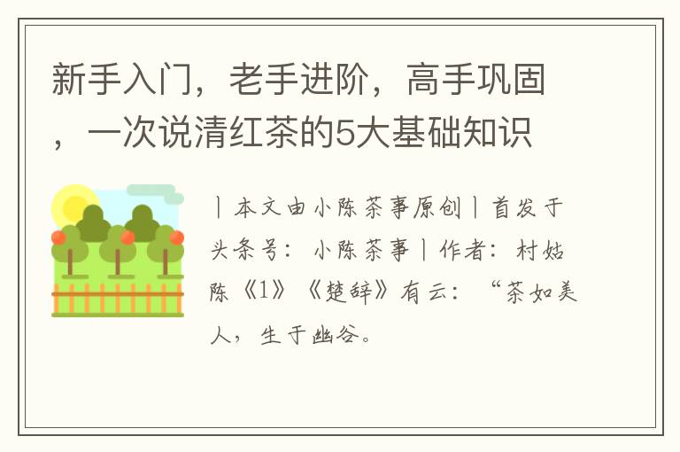新手入门，老手进阶，高手巩固，一次说清红茶的5大基础知识
