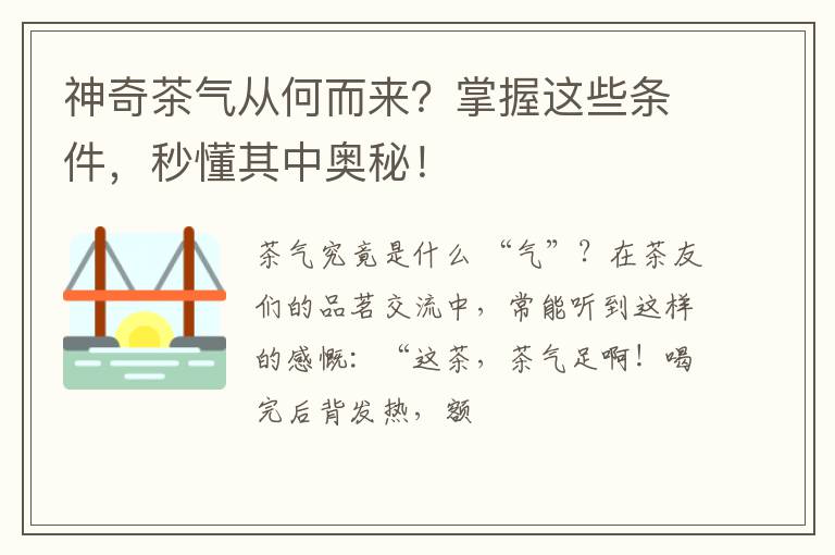 神奇茶气从何而来？掌握这些条件，秒懂其中奥秘！