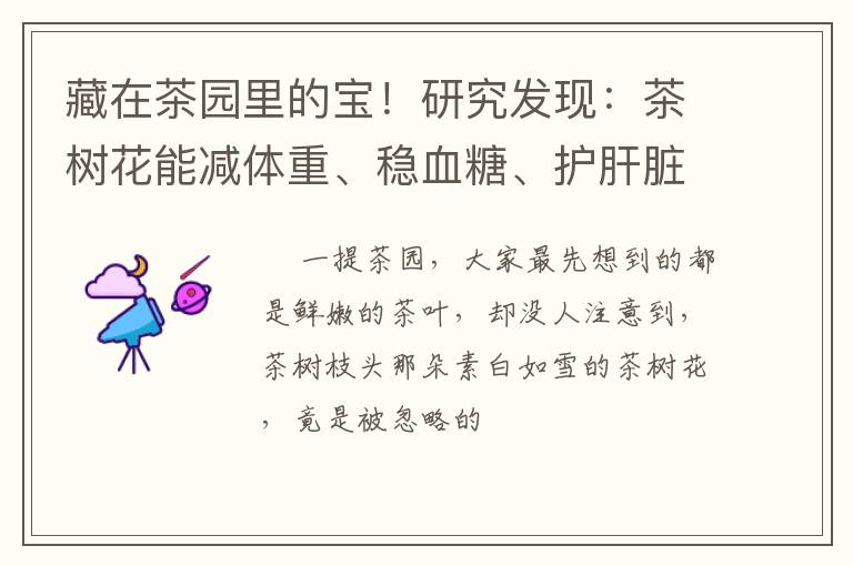 藏在茶园里的宝！研究发现：茶树花能减体重、稳血糖、护肝脏