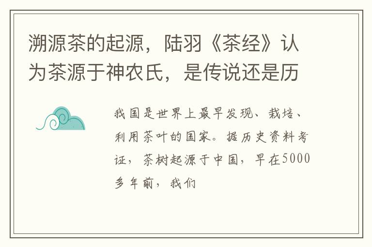 溯源茶的起源，陆羽《茶经》认为茶源于神农氏，是传说还是历史？