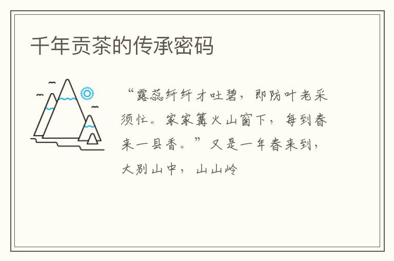 千年贡茶的传承密码
