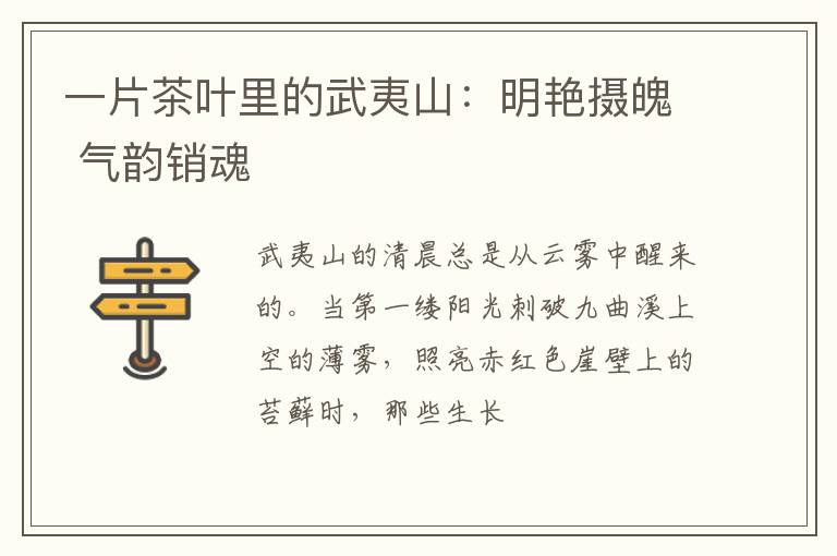 一片茶叶里的武夷山:明艳摄魄 气韵销魂