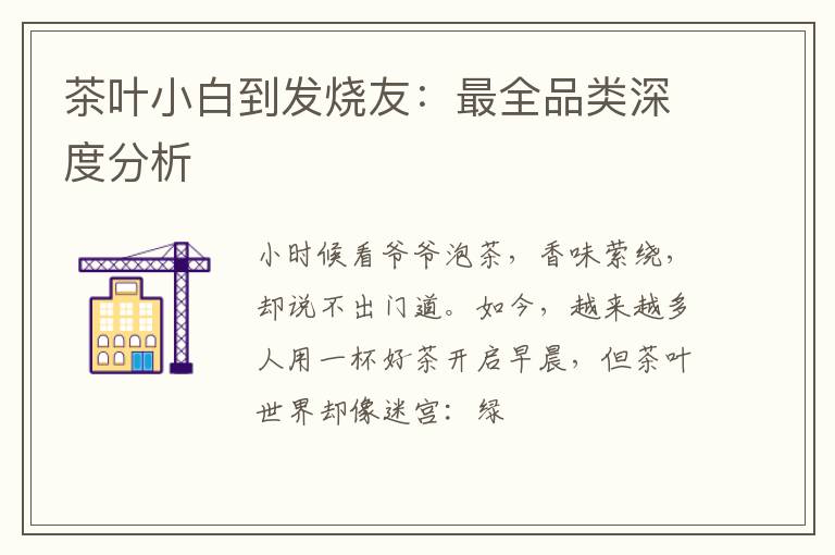 茶叶小白到发烧友：最全品类深度分析