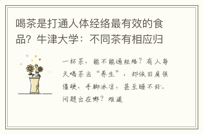 喝茶是打通人体经络最有效的食品?牛津大学:不同茶有相应归经