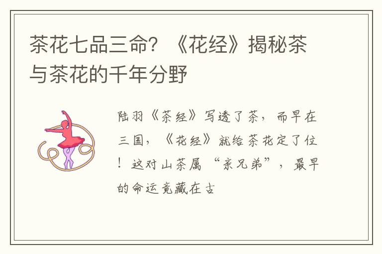 茶花七品三命？《花经》揭秘茶与茶花的千年分野