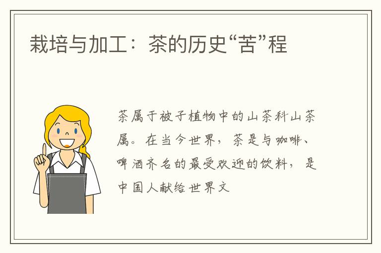 栽培与加工：茶的历史“苦”程