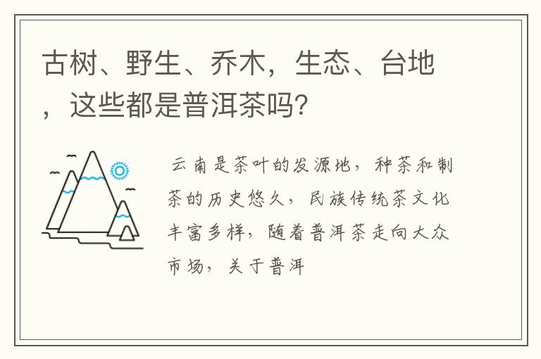 古树、野生、乔木，生态、台地，这些都是普洱茶吗？