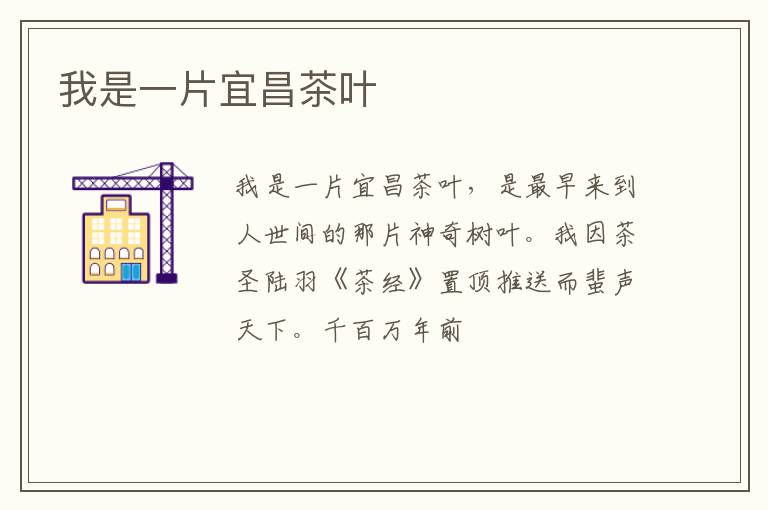 我是一片宜昌茶叶