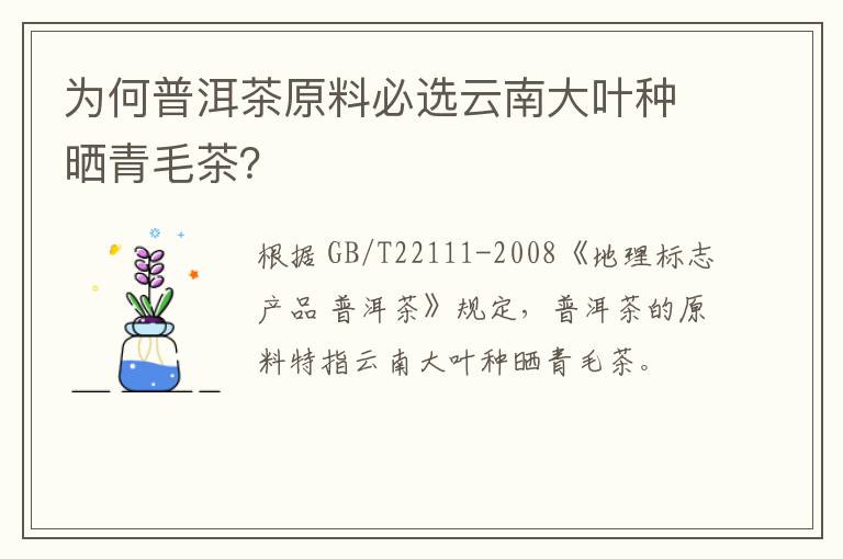 为何普洱茶原料必选云南大叶种晒青毛茶?