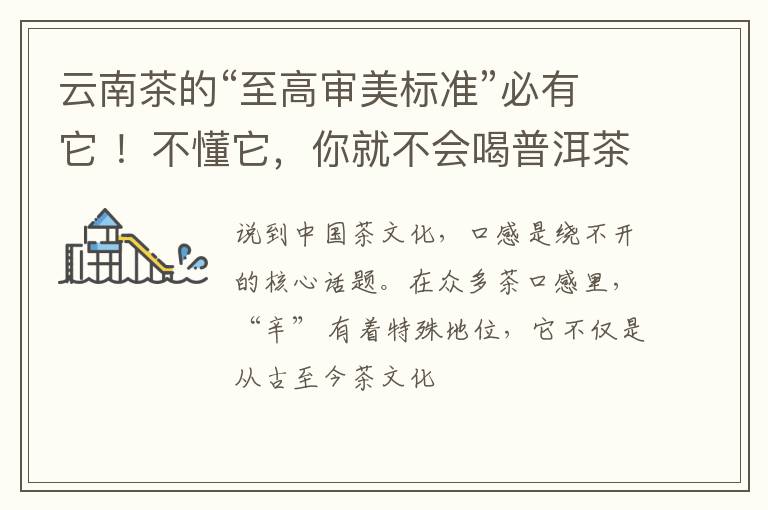云南茶的“至高审美标准”必有它 !不懂它,你就不会喝普洱茶!