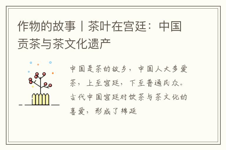 作物的故事丨茶叶在宫廷：中国贡茶与茶文化遗产