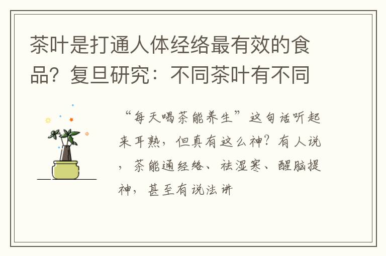 茶叶是打通人体经络最有效的食品?复旦研究:不同茶叶有不同归经