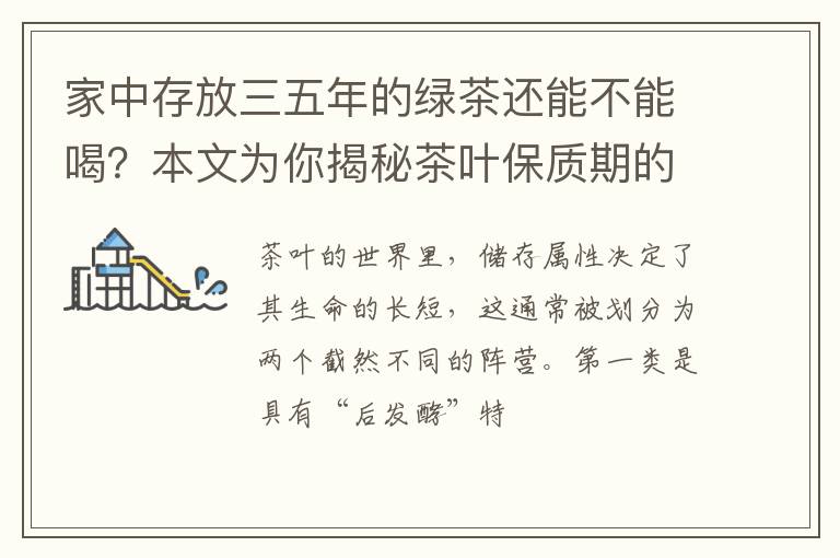 家中存放三五年的绿茶还能不能喝？本文为你揭秘茶叶保质期的真相