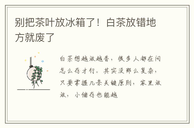 别把茶叶放冰箱了！白茶放错地方就废了