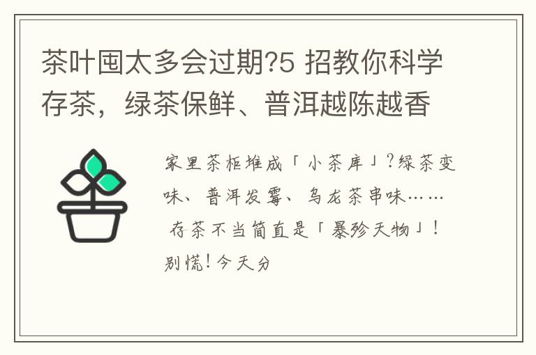 茶叶囤太多会过期?5 招教你科学存茶，绿茶保鲜、普洱越陈越香!